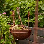 Апартаменты Winzerlodge, Merlot *