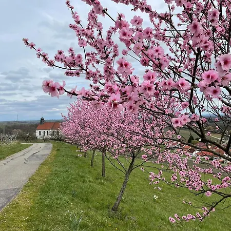 Winzerlodge, Merlot * Глайсцеллен-Глайсхорбах