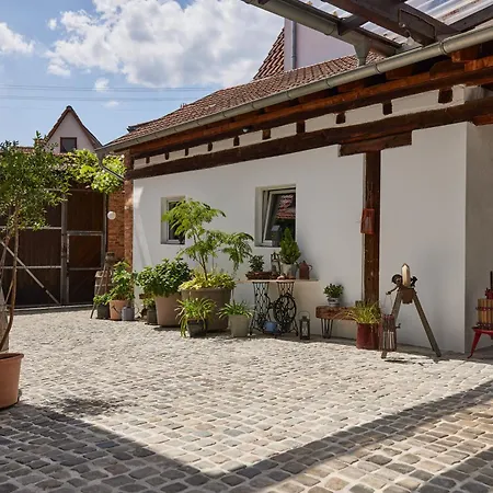 דירה Winzerlodge, Merlot *