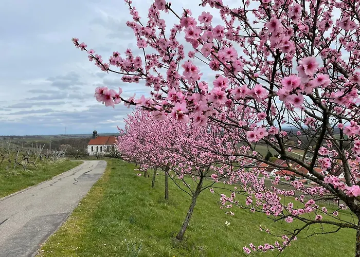 Winzerlodge, Merlot * גלייסצלן-גלייסאורבאך