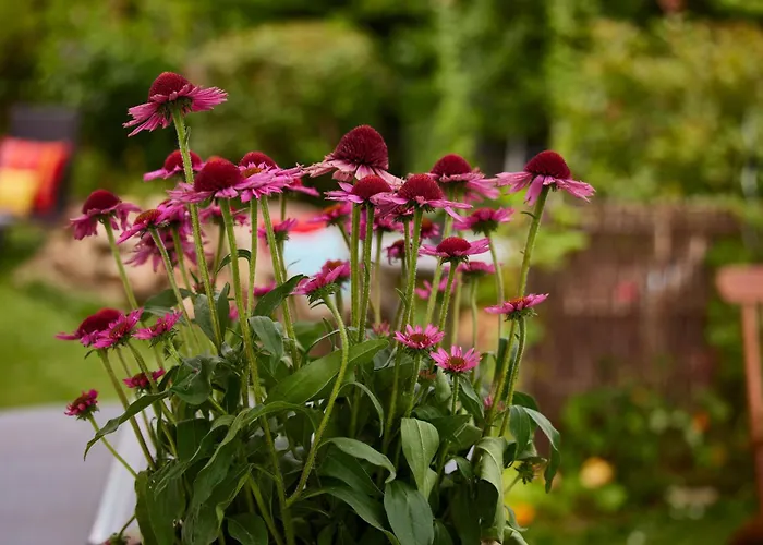 Winzerlodge, Merlot *