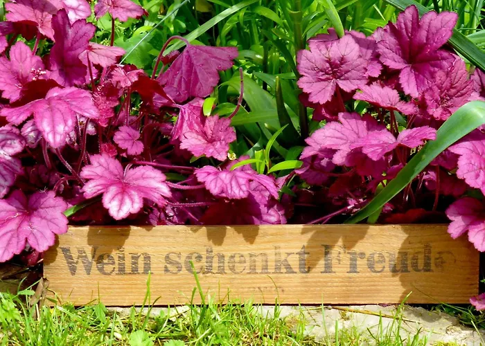 דירה Winzerlodge, Merlot